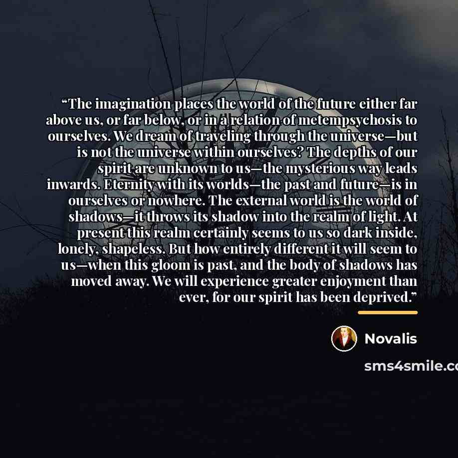 “The imagination places the world of the future either far above us, or far below, or in a relation of metempsychosis to ourselves. We dream of traveling through the universe—but is not the universe within ourselves? The depths of our spirit are unknown to us—the mysterious way leads inwards…” quote by Novalis