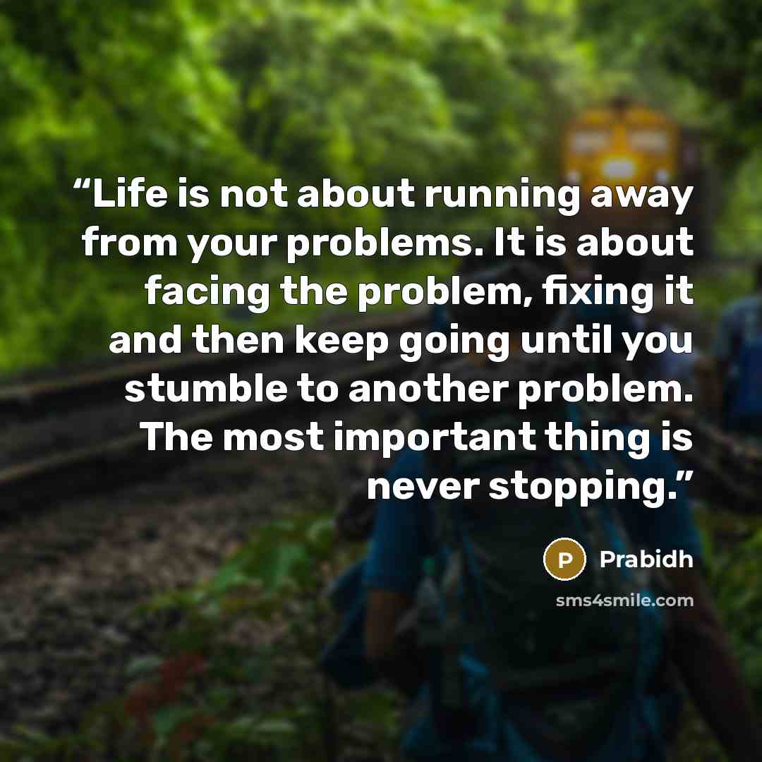 “Life is not about running away from your problems. It is about facing the problem, fixing it and then keep going until you stumble to another problem. The most important thing is never stopping.” quote by Prabidh