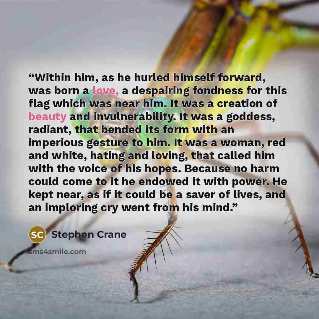 “Within him, as he hurled himself forward, was born a love, a despairing fondness for this flag which was near him. It was a creation of beauty and invulnerability. It was a goddess, radiant, that bended its form with an imperious gesture to him. It was a woman, red and white, hating and loving…” quote by Stephen Crane