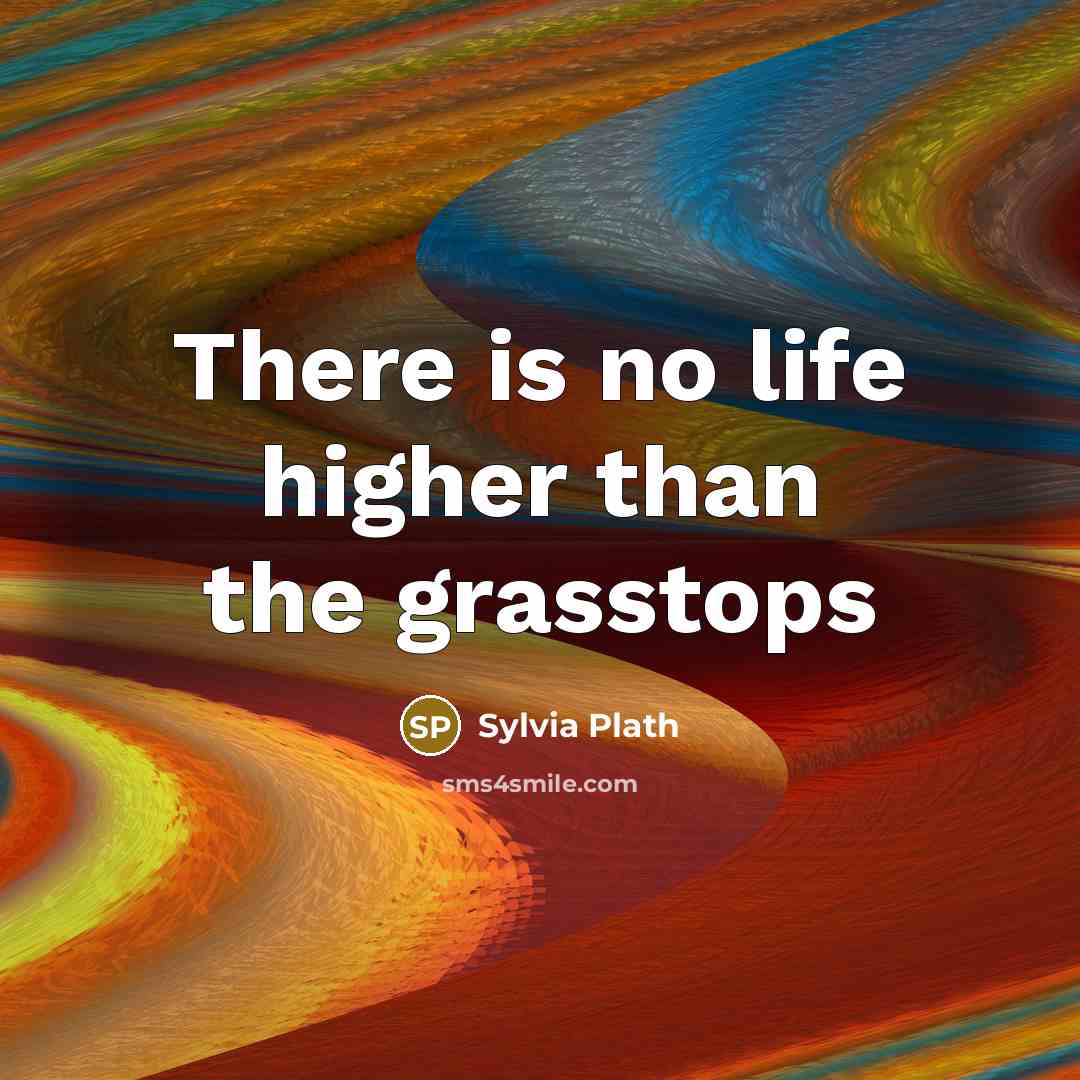 “There is no life higher than the grasstops” quote by Sylvia Plath