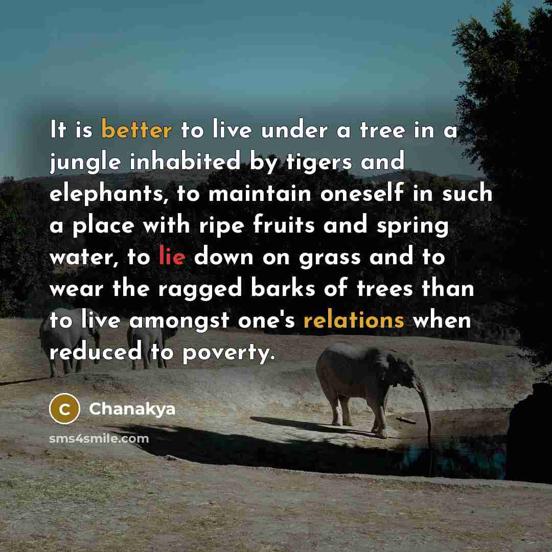 “It is better to live under a tree in a jungle inhabited by tigers and elephants, to maintain oneself in such a place with ripe fruits and spring water, to lie down on grass and to wear the ragged barks of trees than to live amongst one's relations when reduced to poverty.” quote by Chanakya