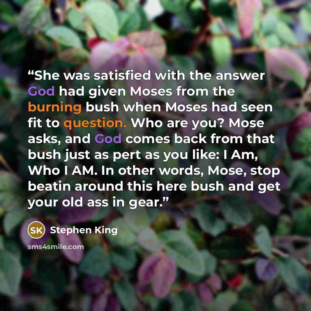 “She was satisfied with the answer God had given Moses from the burning bush when Moses had seen fit to question. Who are you? Mose asks, and God comes back from that bush just as pert as you like: I Am, Who I AM. In other words, Mose, stop beatin around this here bush and get your old ass in gear.” quote by Stephen King