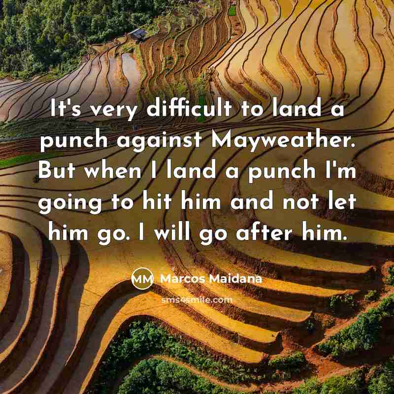 “It's very difficult to land a punch against Mayweather. But when I land a punch I'm going to hit him and not let him go. I will go after him.” quote by Marcos Maidana