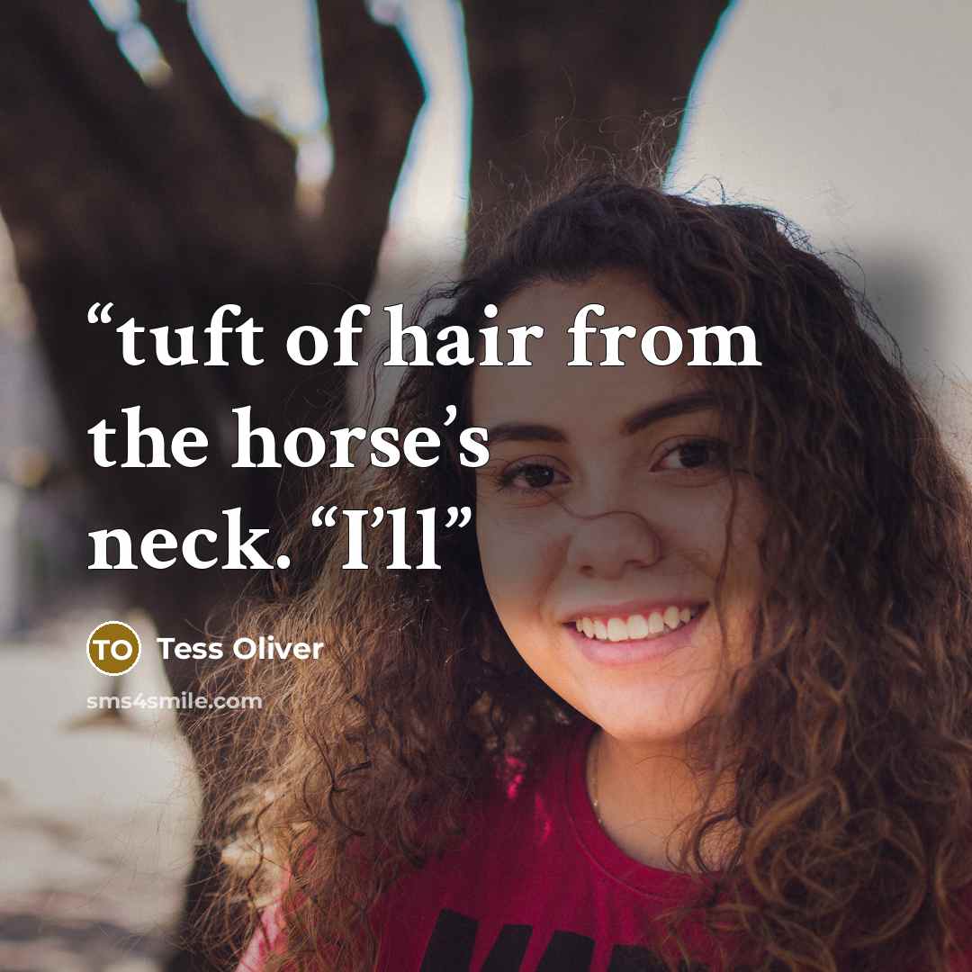 “tuft of hair from the horse’s neck. “I’ll” quote by Tess Oliver