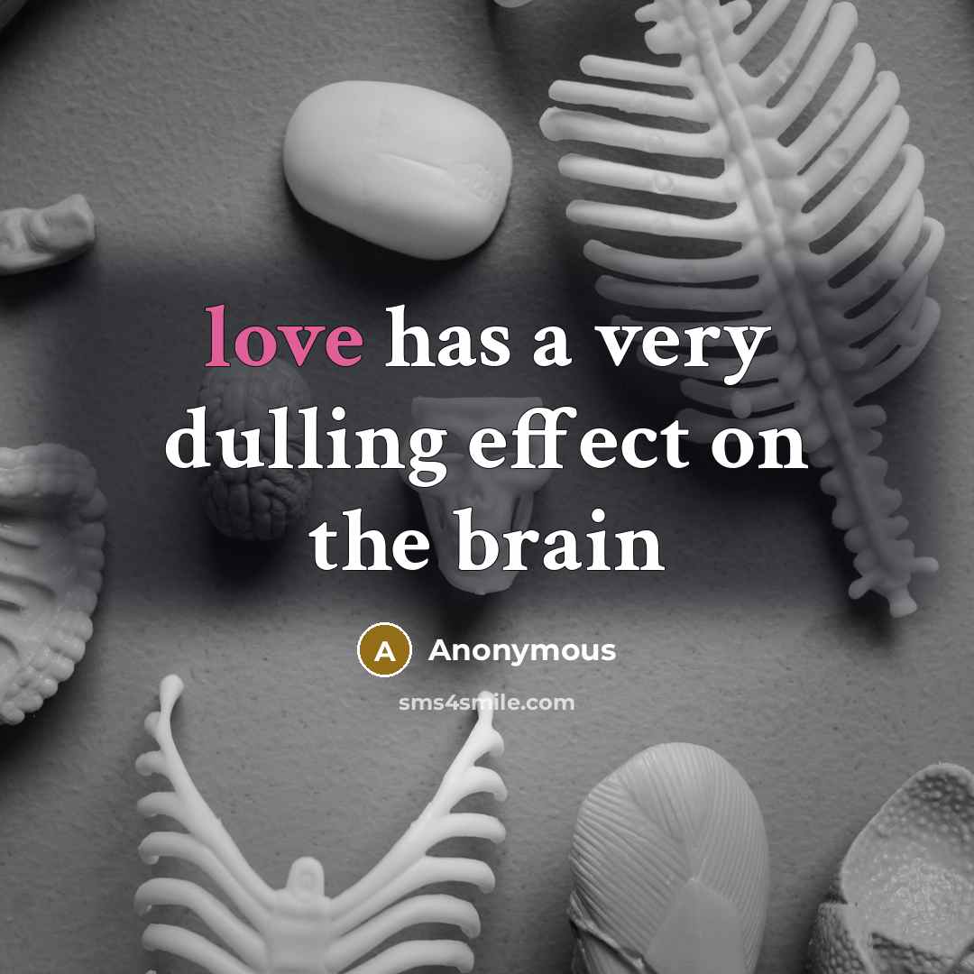 “love has a very dulling effect on the brain” quote by Anonymous