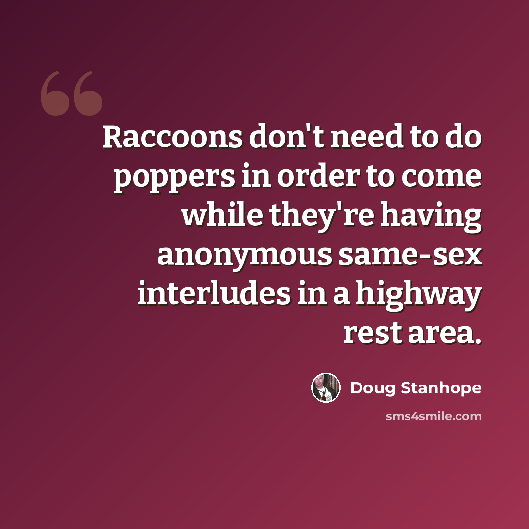“Raccoons don't need to do poppers in order to come while they're having anonymous same-sex interludes in a highway rest area.” quote by Doug Stanhope