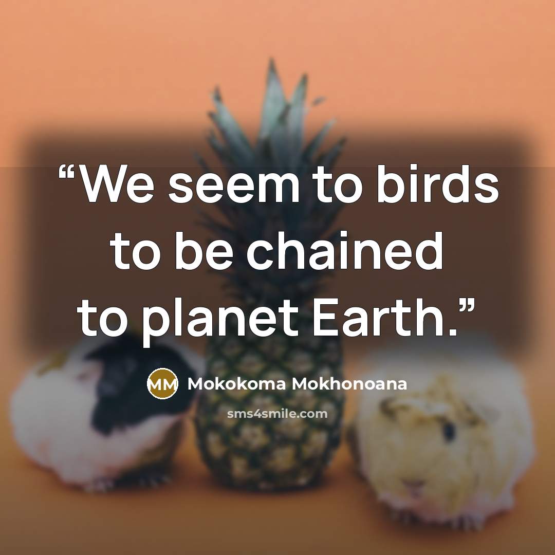 “We seem to birds to be chained to planet Earth.” quote by Mokokoma Mokhonoana