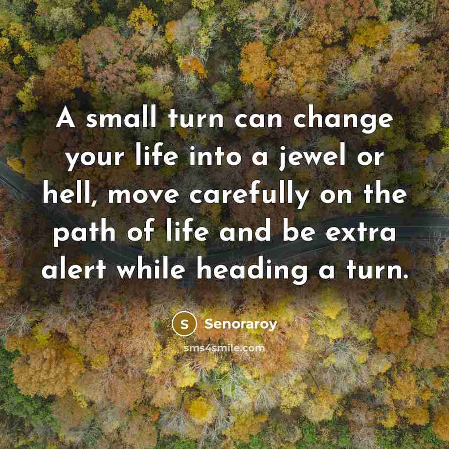 “A small turn can change your life into a jewel or hell, move carefully on the path of life and be extra alert while heading a turn.” quote by Senoraroy