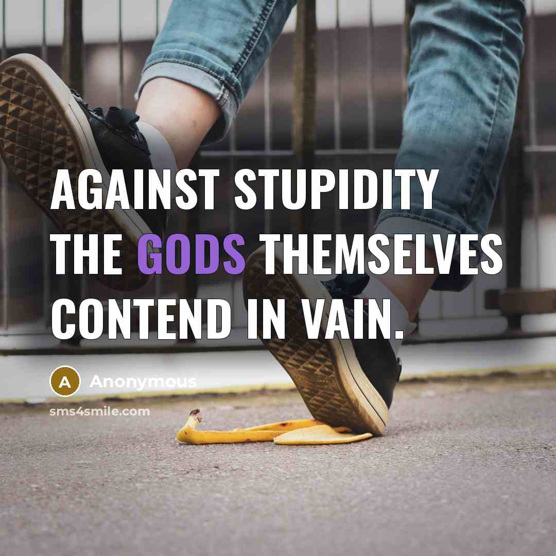 “Against stupidity the gods themselves contend in vain.” quote by Anonymous