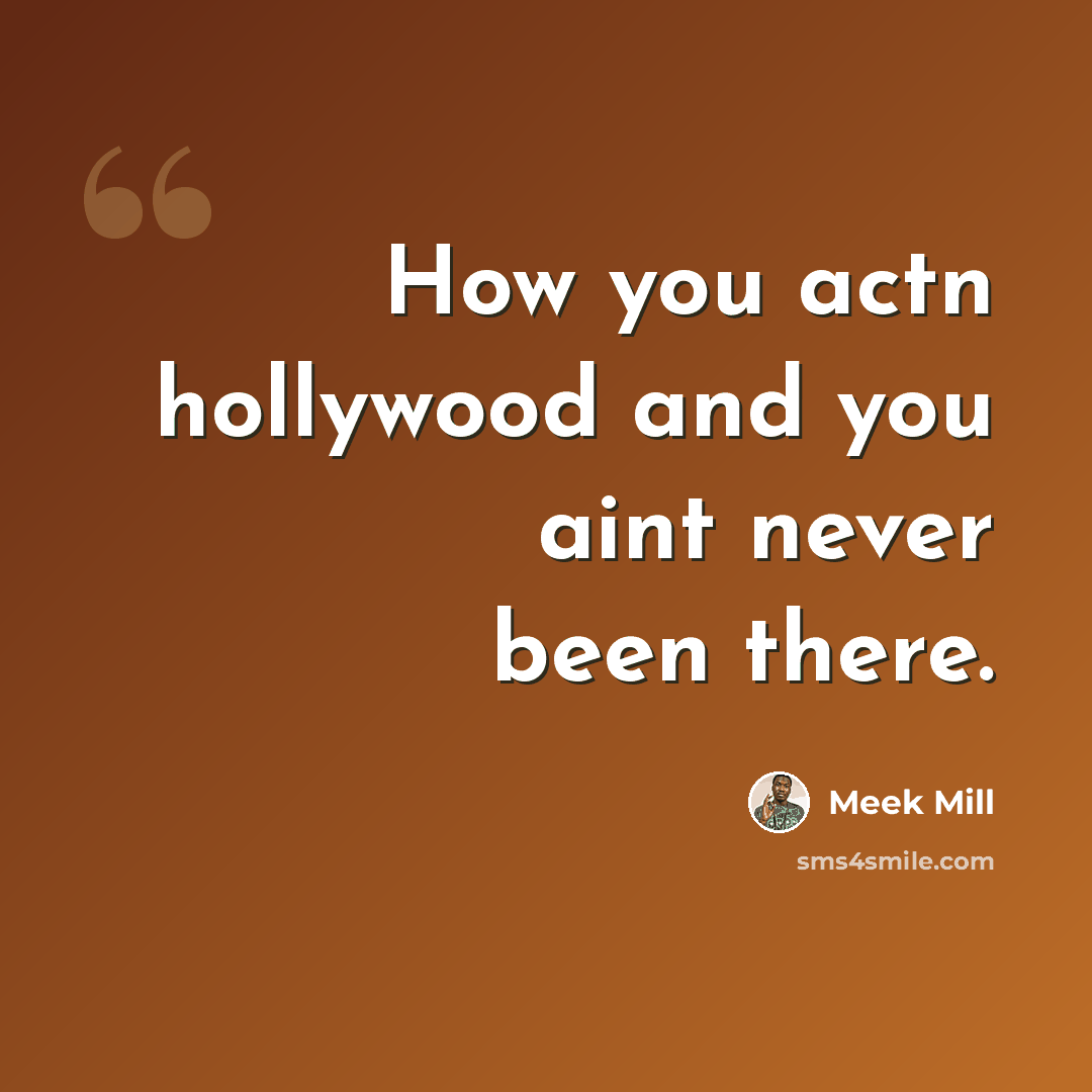 “How you actn hollywood and you aint never been there.” quote by Meek Mill