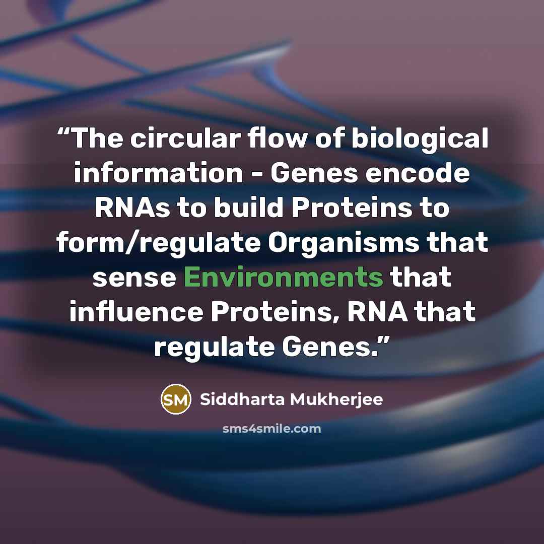 “The circular flow of biological information - Genes encode RNAs to build Proteins to form/regulate Organisms that sense Environments that influence Proteins, RNA that regulate Genes.” quote by Siddharta Mukherjee
