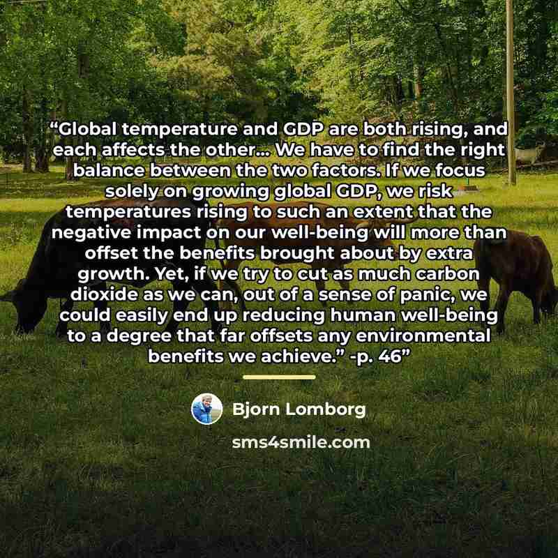 “Global temperature and GDP are both rising, and each affects the other… We have to find the right balance between the two factors. If we focus solely on growing global GDP, we risk temperatures rising to such an extent that the negative impact on our well-being will more than offset the benefits…” quote by Bjorn Lomborg