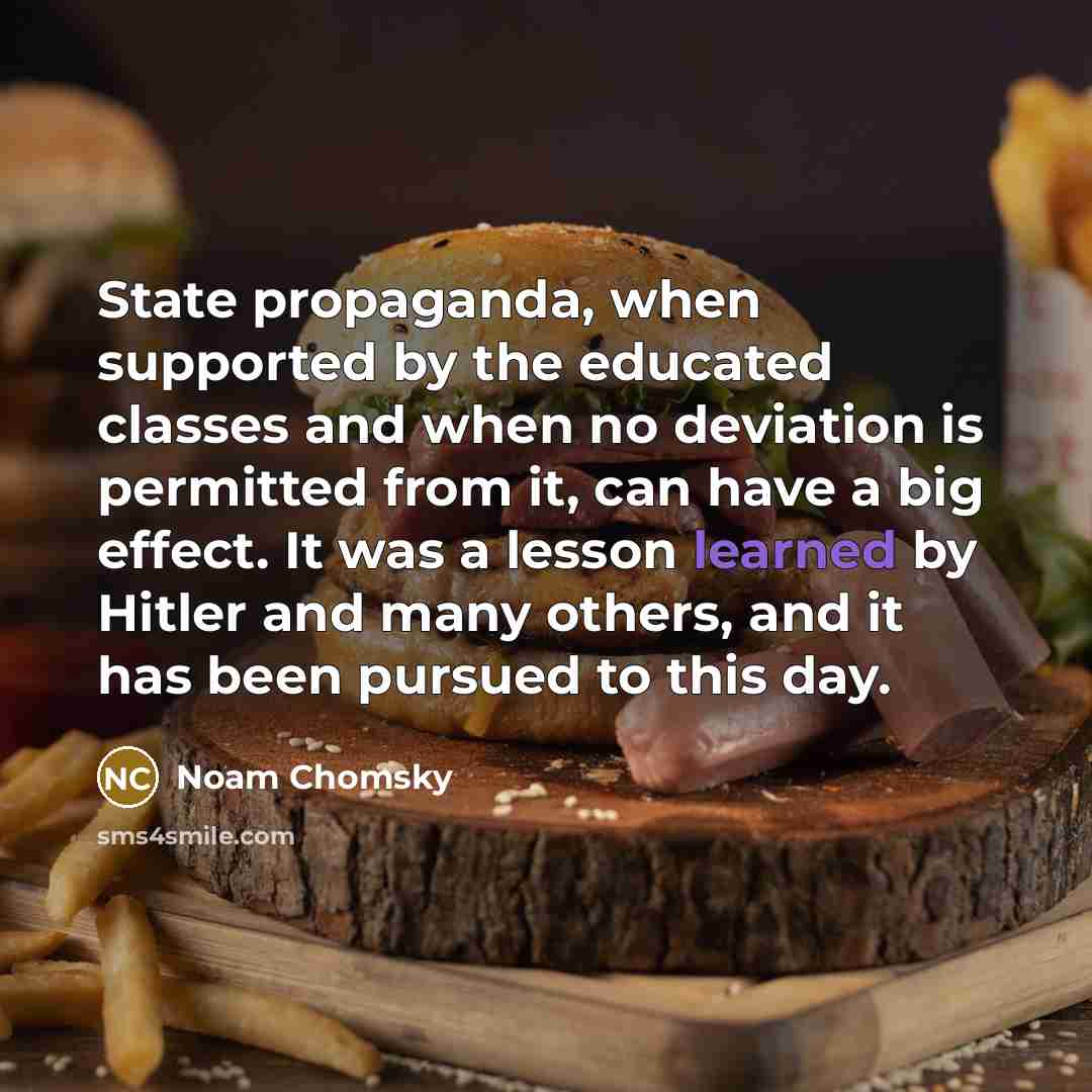 “State propaganda, when supported by the educated classes and when no deviation is permitted from it, can have a big effect. It was a lesson learned by Hitler and many others, and it has been pursued to this day.” quote by Noam Chomsky