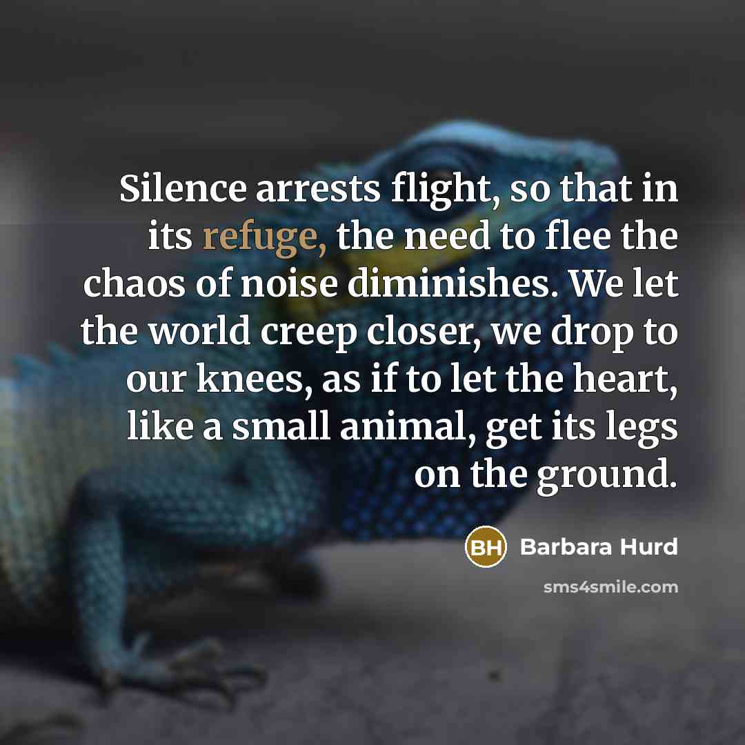 “Silence arrests flight, so that in its refuge, the need to flee the chaos of noise diminishes. We let the world creep closer, we drop to our knees, as if to let the heart, like a small animal, get its legs on the ground.” quote by Barbara Hurd