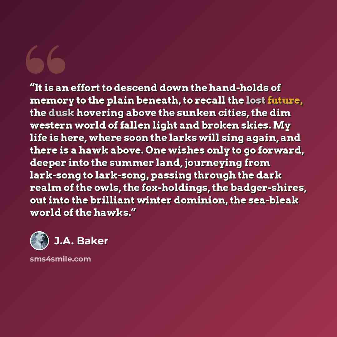 “It is an effort to descend down the hand-holds of memory to the plain beneath, to recall the lost future, the dusk hovering above the sunken cities, the dim western world of fallen light and broken skies. My life is here, where soon the larks will sing again, and there is a hawk above. One wishes…” quote by J.A. Baker