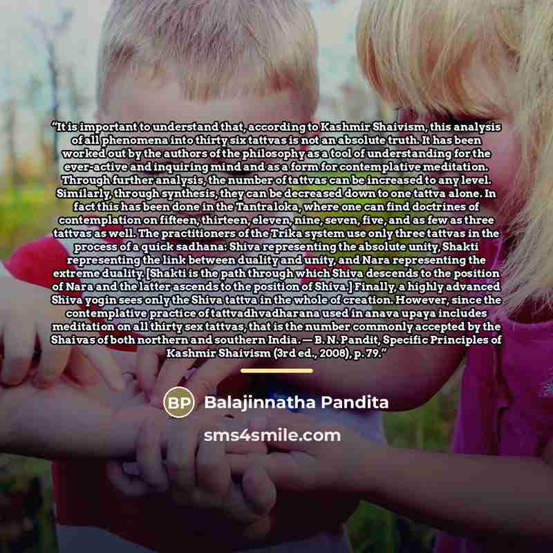 “It is important to understand that, according to Kashmir Shaivism, this analysis of all phenomena into thirty six tattvas is not an absolute truth. It has been worked out by the authors of the philosophy as a tool of understanding for the ever-active and inquiring mind and as a form for…” quote by Balajinnatha Pandita