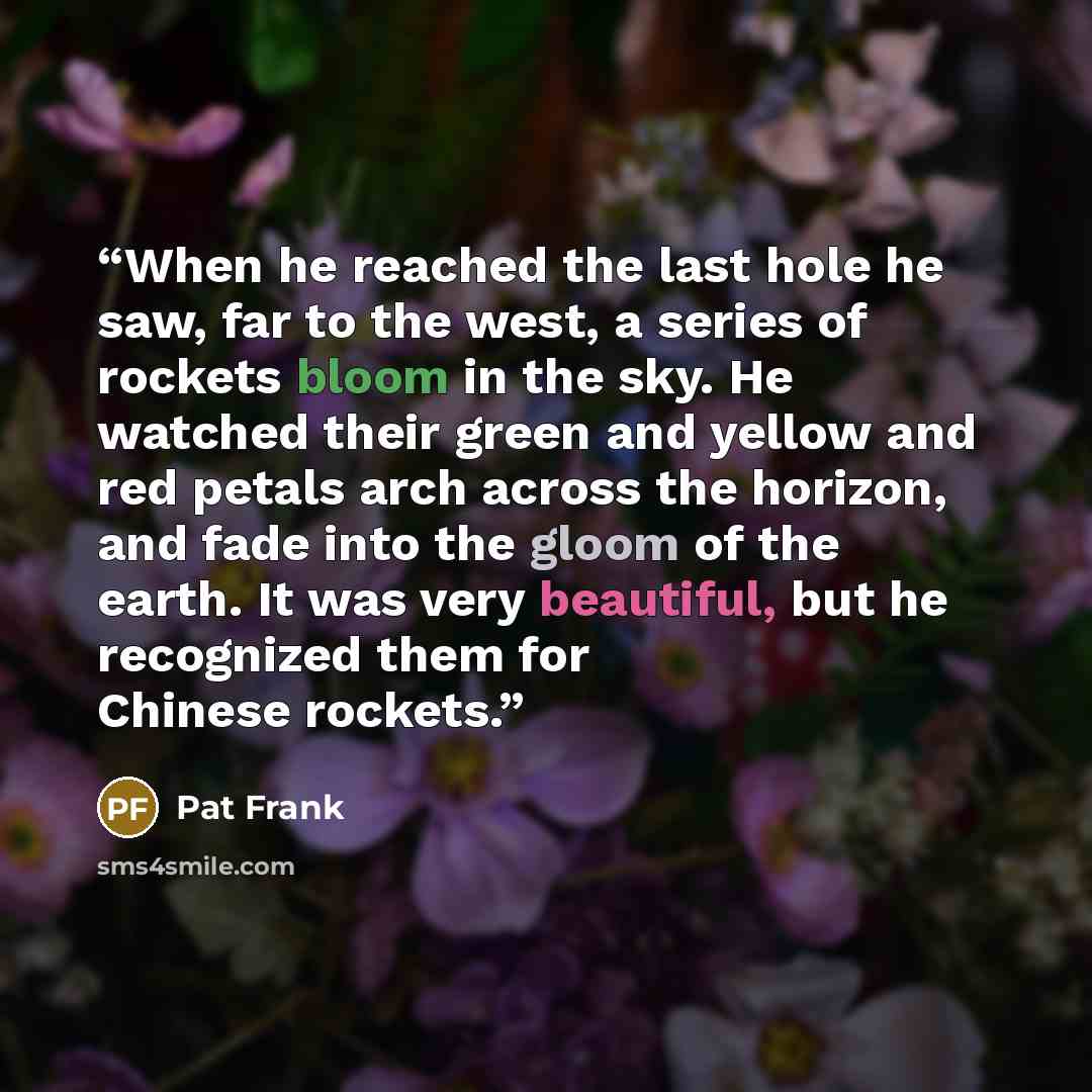 “When he reached the last hole he saw, far to the west, a series of rockets bloom in the sky. He watched their green and yellow and red petals arch across the horizon, and fade into the gloom of the earth. It was very beautiful, but he recognized them for Chinese rockets.” quote by Pat Frank