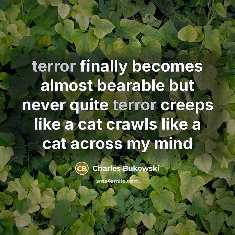 “terror finally becomes almost bearable but never quite terror creeps like a cat crawls like a cat across my mind” quote by Charles Bukowski