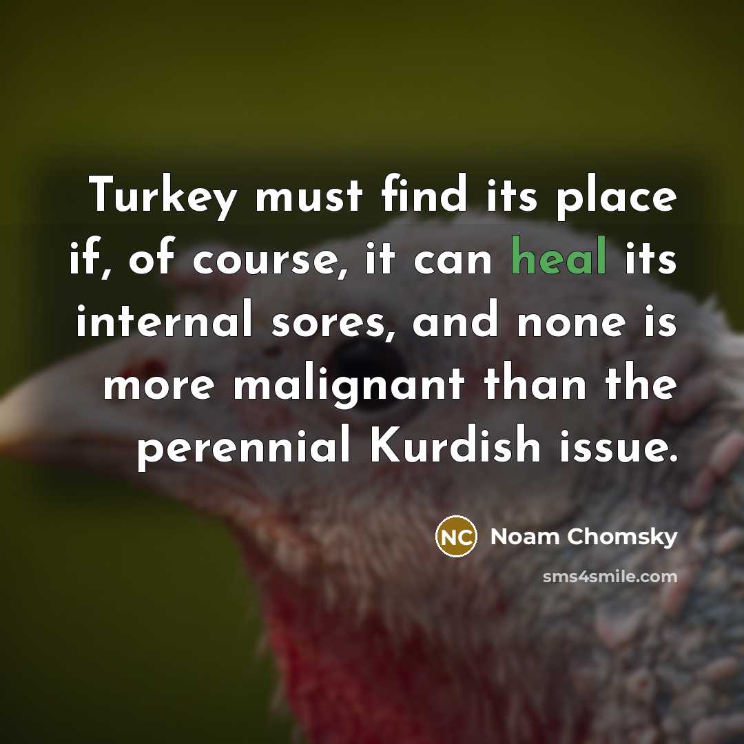 “Turkey must find its place if, of course, it can heal its internal sores, and none is more malignant than the perennial Kurdish issue.” quote by Noam Chomsky