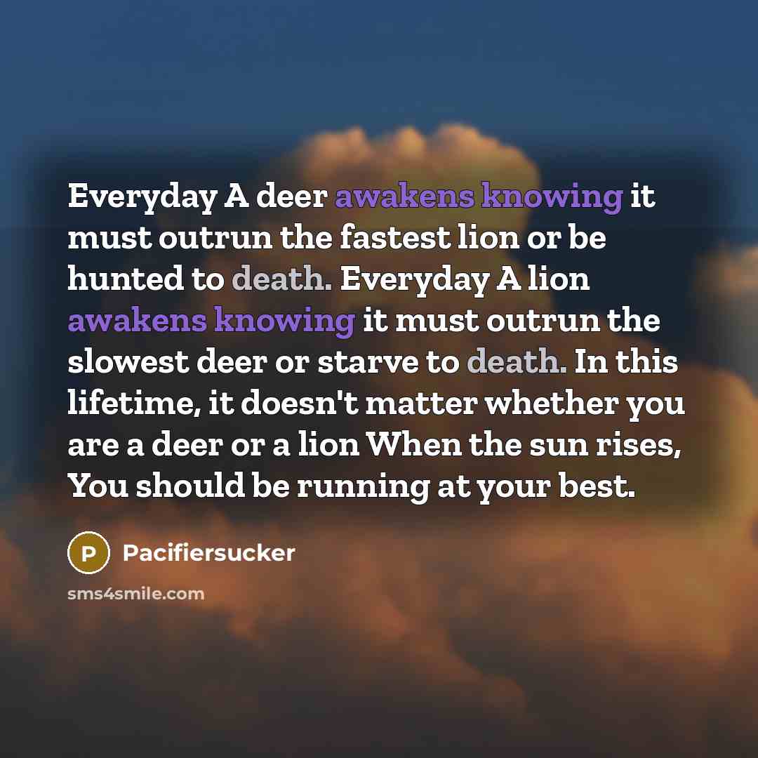 “Everyday A deer awakens knowing it must outrun the fastest lion or be hunted to death. Everyday A lion awakens knowing it must outrun the slowest deer or starve to death. In this lifetime, it doesn't matter whether you are a deer or a lion When the sun rises, You should be running at your best.” quote by Pacifiersucker