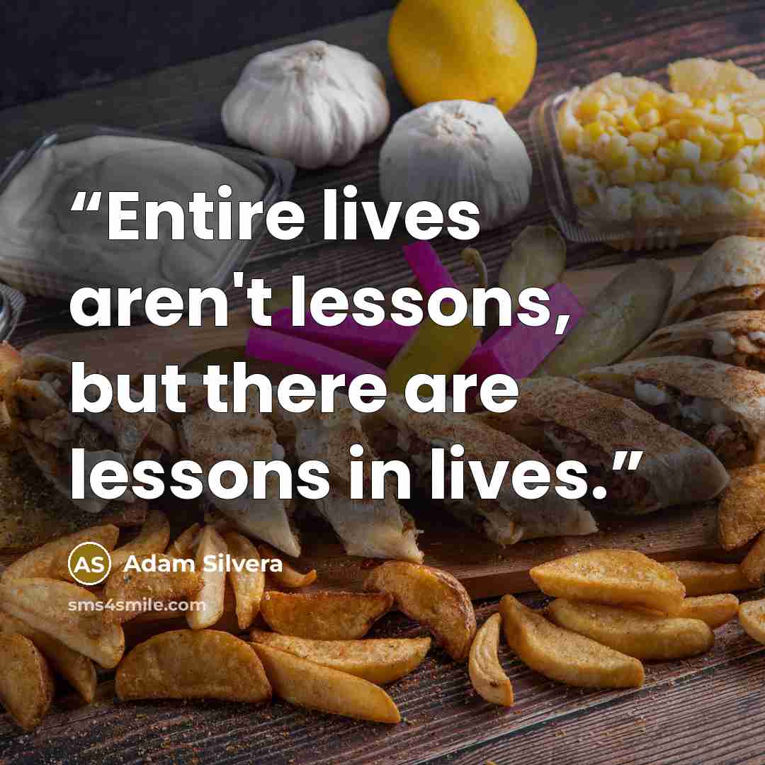 “Entire lives aren't lessons, but there are lessons in lives.” quote by Adam Silvera