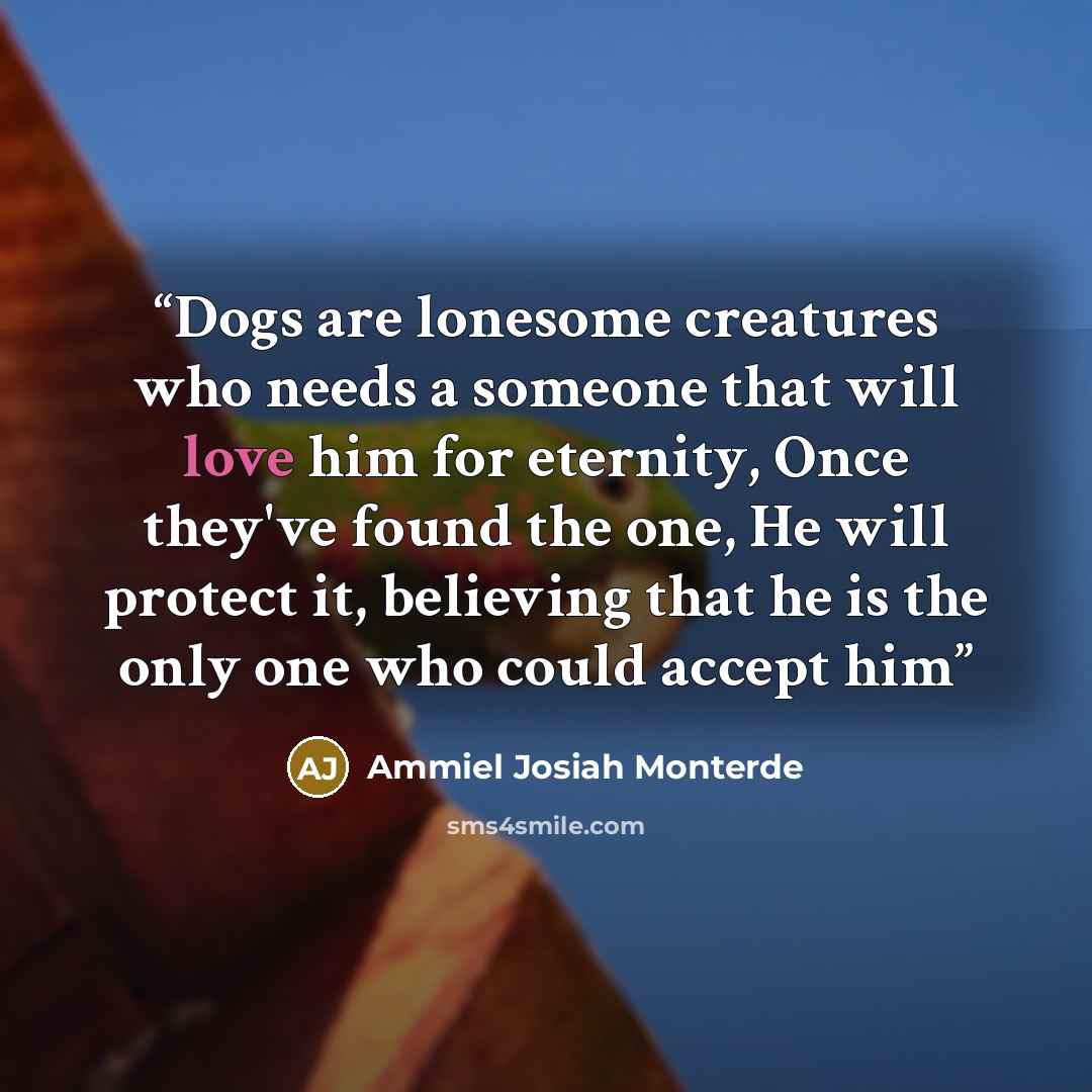 “Dogs are lonesome creatures who needs a someone that will love him for eternity, Once they've found the one, He will protect it, believing that he is the only one who could accept him” quote by Ammiel Josiah Monterde
