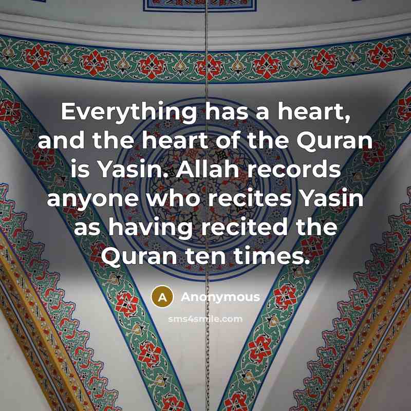 “Everything has a heart, and the heart of the Quran is Yasin. Allah records anyone who recites Yasin as having recited the Quran ten times.” quote by Anonymous