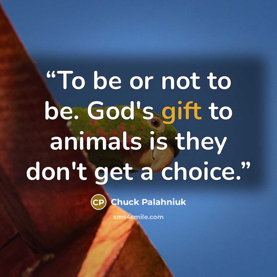 “To be or not to be. God's gift to animals is they don't get a choice.” quote by Chuck Palahniuk