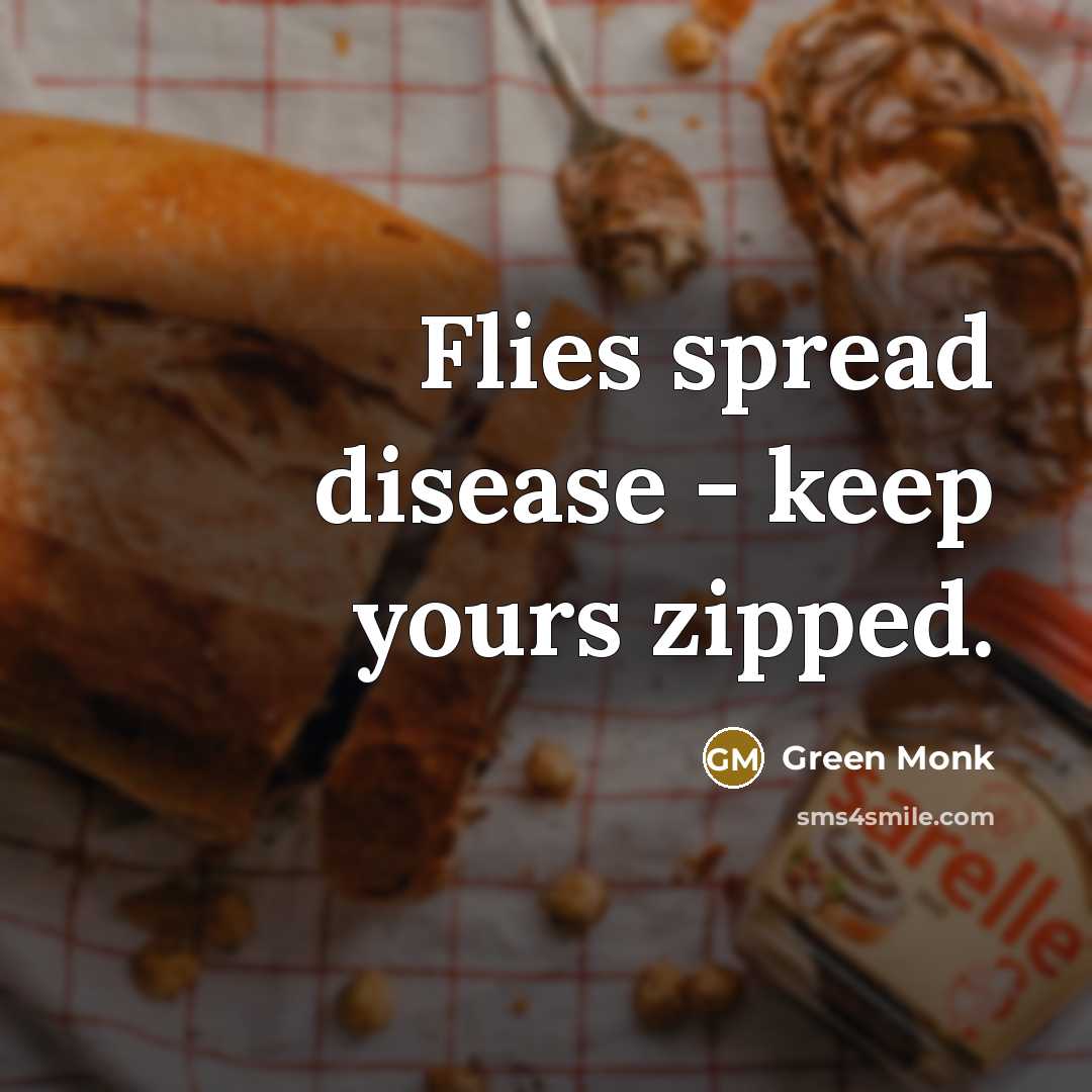 “Flies spread disease - keep yours zipped.” quote by Green Monk