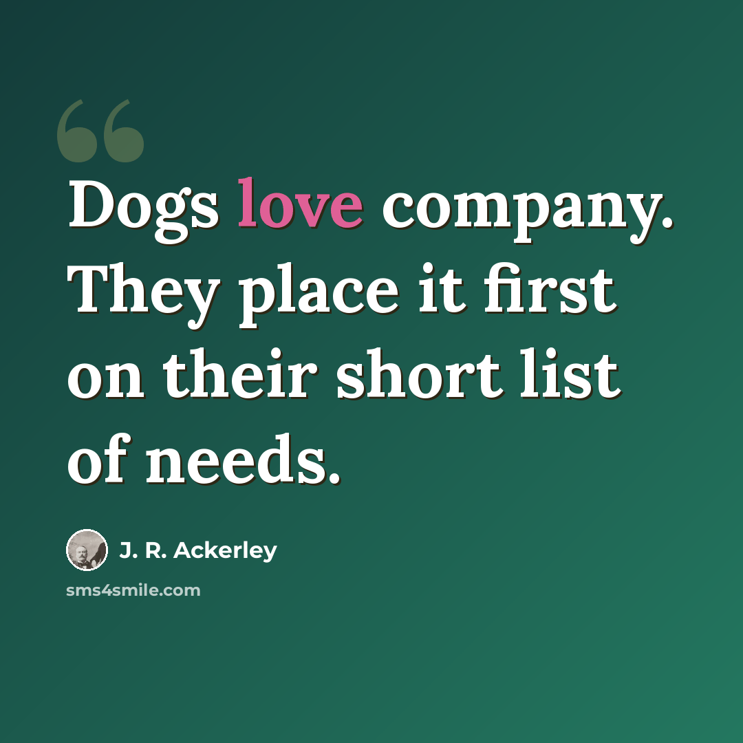“Dogs love company. They place it first on their short list of needs.” quote by J. R. Ackerley