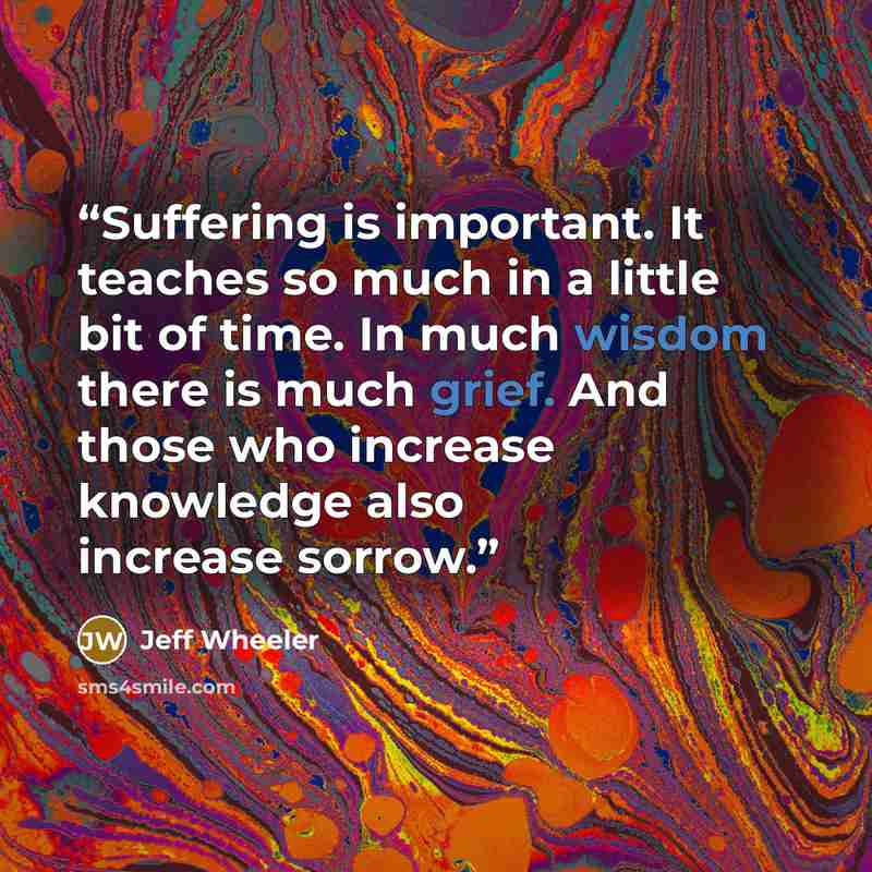 “Suffering is important. It teaches so much in a little bit of time. In much wisdom there is much grief. And those who increase knowledge also increase sorrow.” quote by Jeff Wheeler