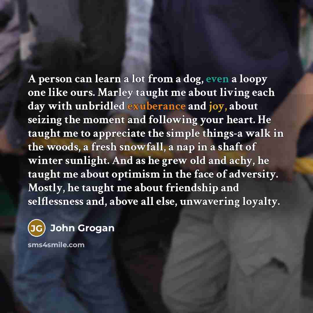 “A person can learn a lot from a dog, even a loopy one like ours. Marley taught me about living each day with unbridled exuberance and joy, about seizing the moment and following your heart. He taught me to appreciate the simple things-a walk in the woods, a fresh snowfall, a nap in a shaft of…” quote by John Grogan