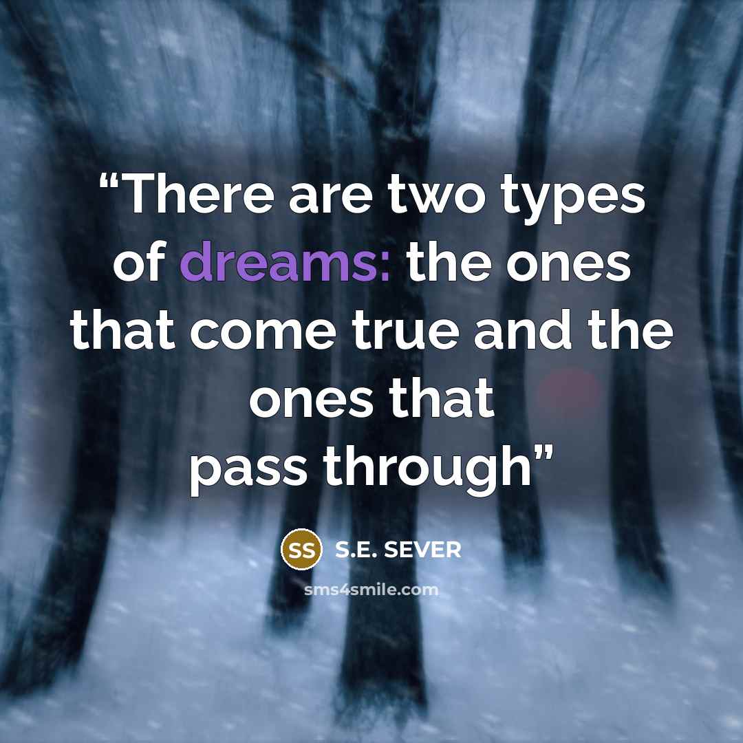 “There are two types of dreams: the ones that come true and the ones that pass through” quote by S.E. SEVER