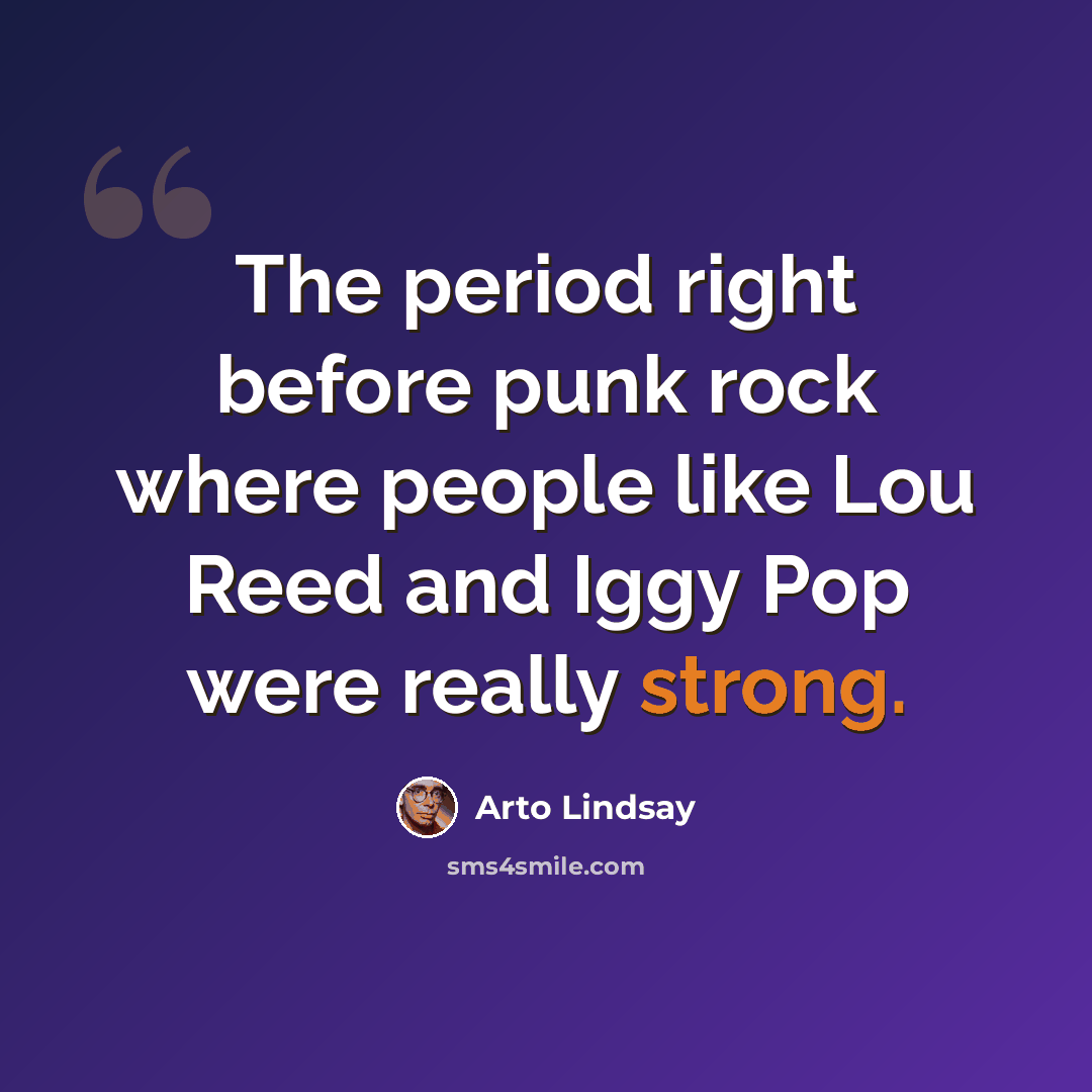 “The period right before punk rock where people like Lou Reed and Iggy Pop were really strong.” quote by Arto Lindsay