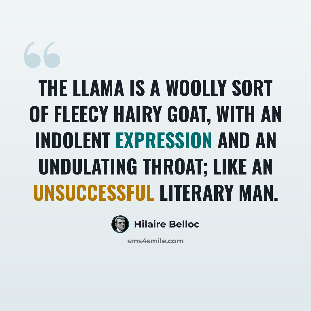 “The Llama is a woolly sort of fleecy hairy goat, with an indolent expression and an undulating throat; like an unsuccessful literary man.” quote by Hilaire Belloc