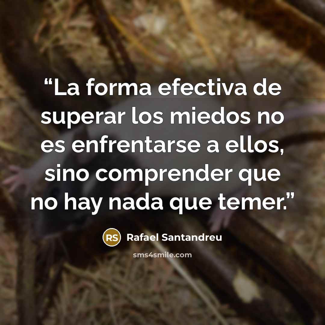 “La forma efectiva de superar los miedos no es enfrentarse a ellos, sino comprender que no hay nada que temer.” quote by Rafael Santandreu