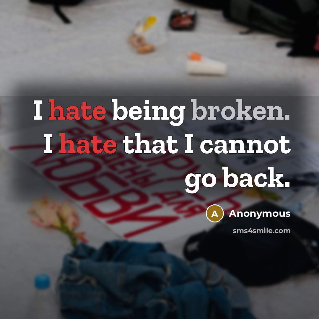 “I hate being broken. I hate that I cannot go back.” quote by Anonymous