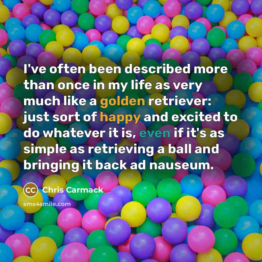 “I've often been described more than once in my life as very much like a golden retriever: just sort of happy and excited to do whatever it is, even if it's as simple as retrieving a ball and bringing it back ad nauseum.” quote by Chris Carmack