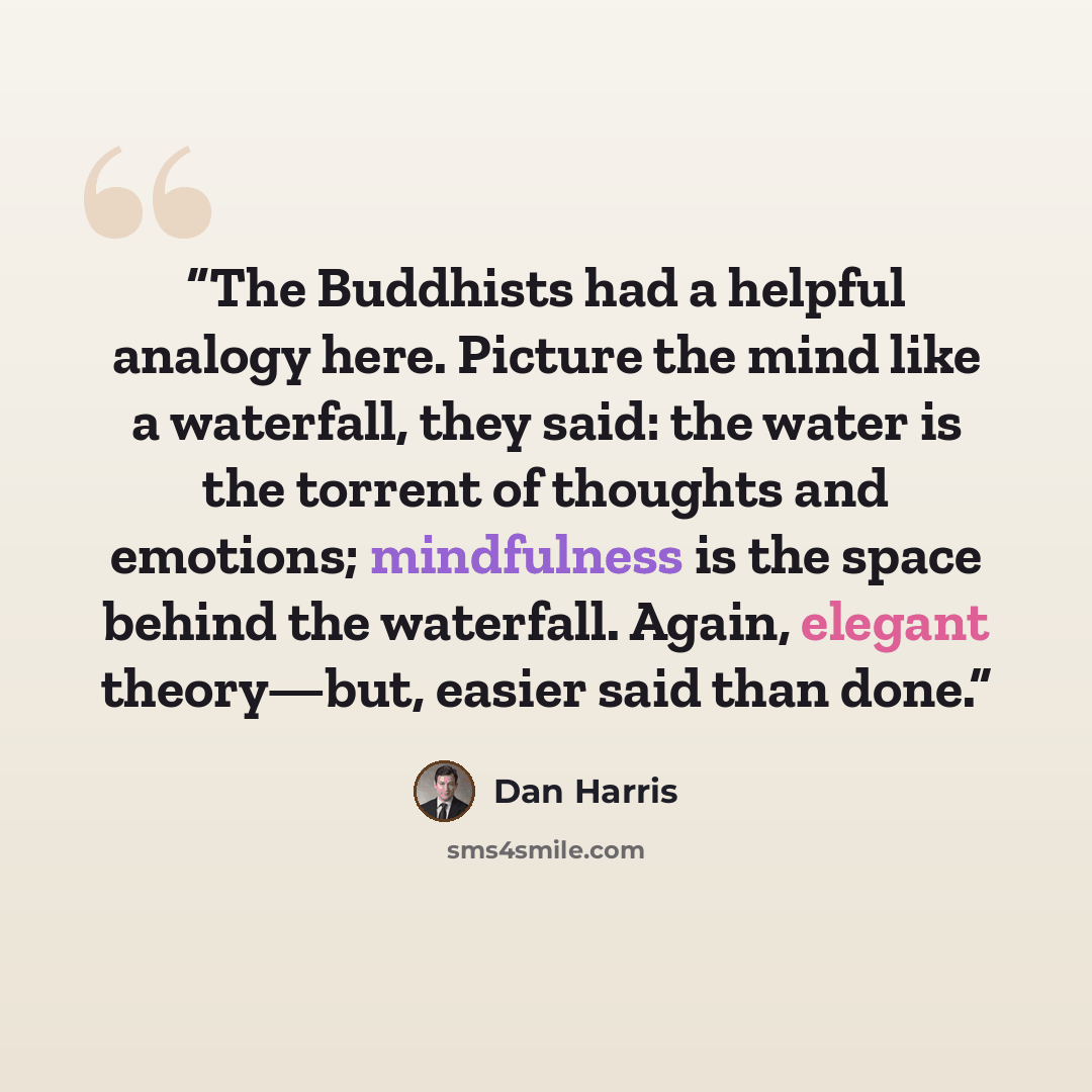 “The Buddhists had a helpful analogy here. Picture the mind like a waterfall, they said: the water is the torrent of thoughts and emotions; mindfulness is the space behind the waterfall. Again, elegant theory—but, easier said than done.” quote by Dan Harris