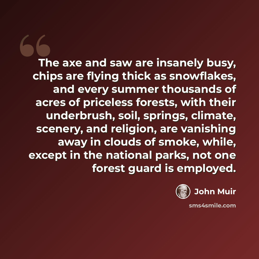 “The axe and saw are insanely busy, chips are flying thick as snowflakes, and every summer thousands of acres of priceless forests, with their underbrush, soil, springs, climate, scenery, and religion, are vanishing away in clouds of smoke, while, except in the national parks, not one forest guard…” quote by John Muir