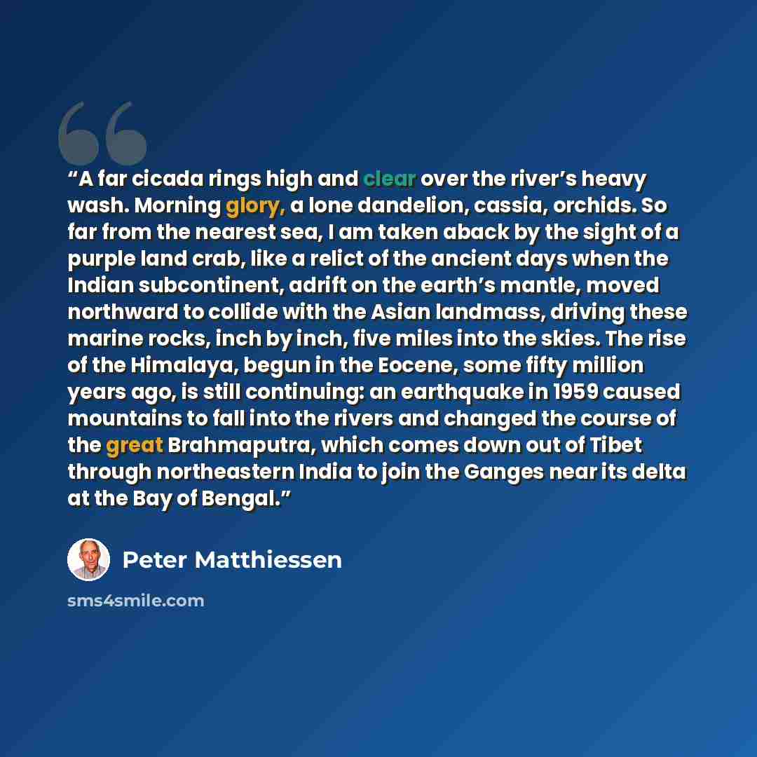 “A far cicada rings high and clear over the river’s heavy wash. Morning glory, a lone dandelion, cassia, orchids. So far from the nearest sea, I am taken aback by the sight of a purple land crab, like a relict of the ancient days when the Indian subcontinent, adrift on the earth’s mantle, moved…” quote by Peter Matthiessen