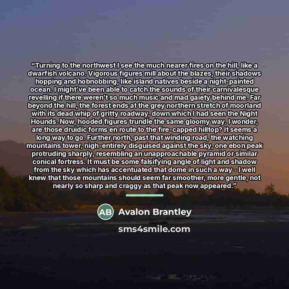 “Turning to the northwest I see the much nearer fires on the hill, like a dwarfish volcano. Vigorous figures mill about the blazes, their shadows hopping and hobnobbing, like island natives beside a night-painted ocean. I might’ve been able to catch the sounds of their carnivalesque revelling if…” quote by Avalon Brantley