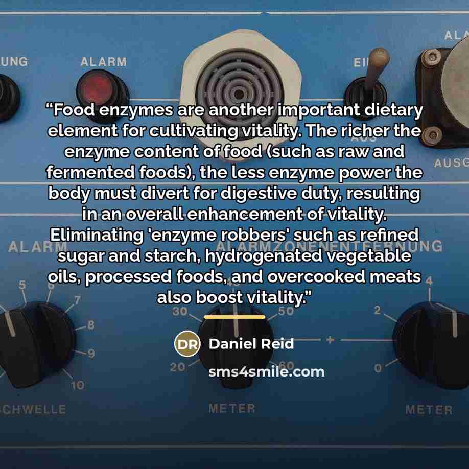 “Food enzymes are another important dietary element for cultivating vitality. The richer the enzyme content of food (such as raw and fermented foods), the less enzyme power the body must divert for digestive duty, resulting in an overall enhancement of vitality. Eliminating 'enzyme robbers' such as…” quote by Daniel Reid