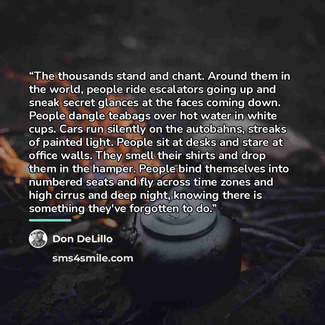 “The thousands stand and chant. Around them in the world, people ride escalators going up and sneak secret glances at the faces coming down. People dangle teabags over hot water in white cups. Cars run silently on the autobahns, streaks of painted light. People sit at desks and stare at office…” quote by Don Delillo