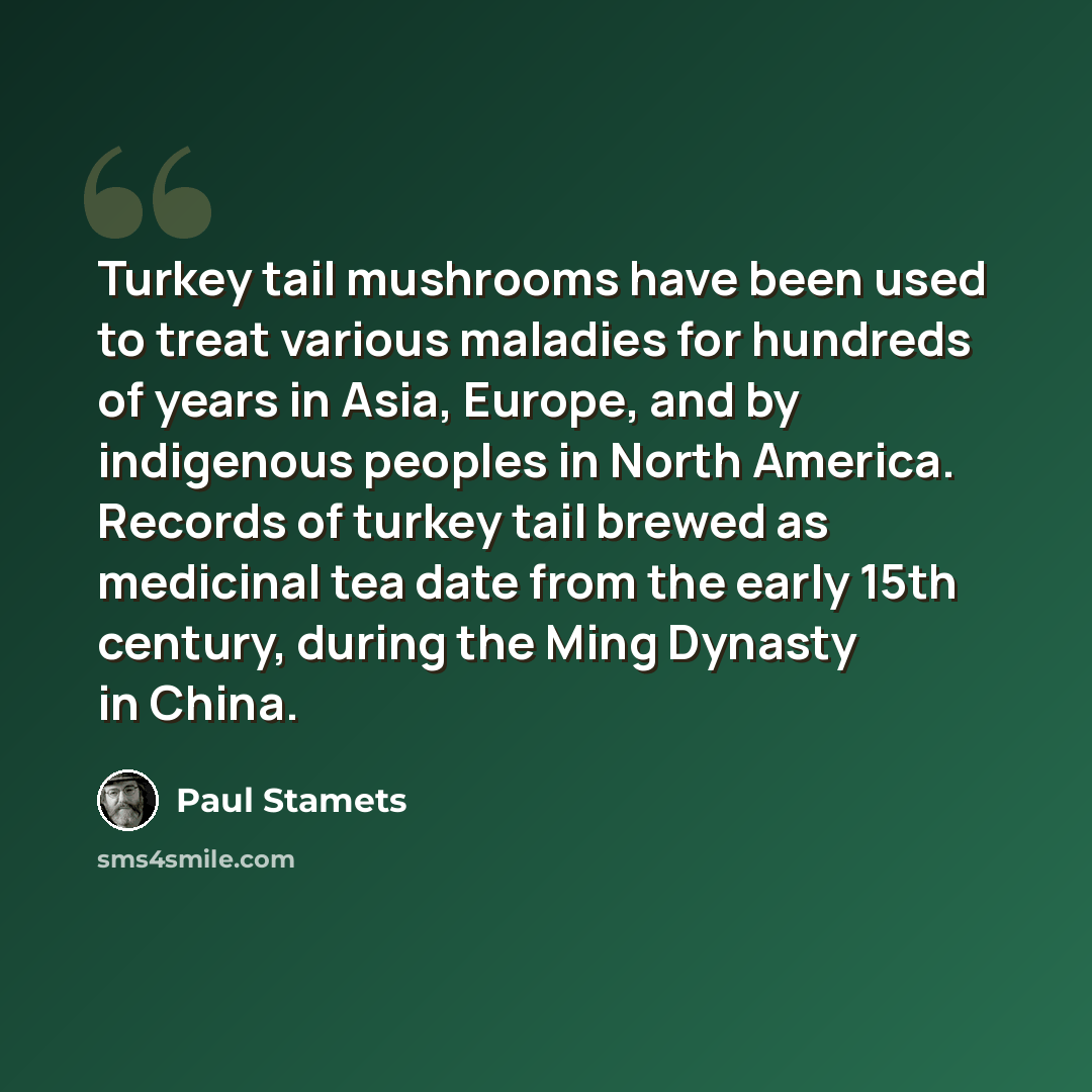 “Turkey tail mushrooms have been used to treat various maladies for hundreds of years in Asia, Europe, and by indigenous peoples in North America. Records of turkey tail brewed as medicinal tea date from the early 15th century, during the Ming Dynasty in China.” quote by Paul Stamets