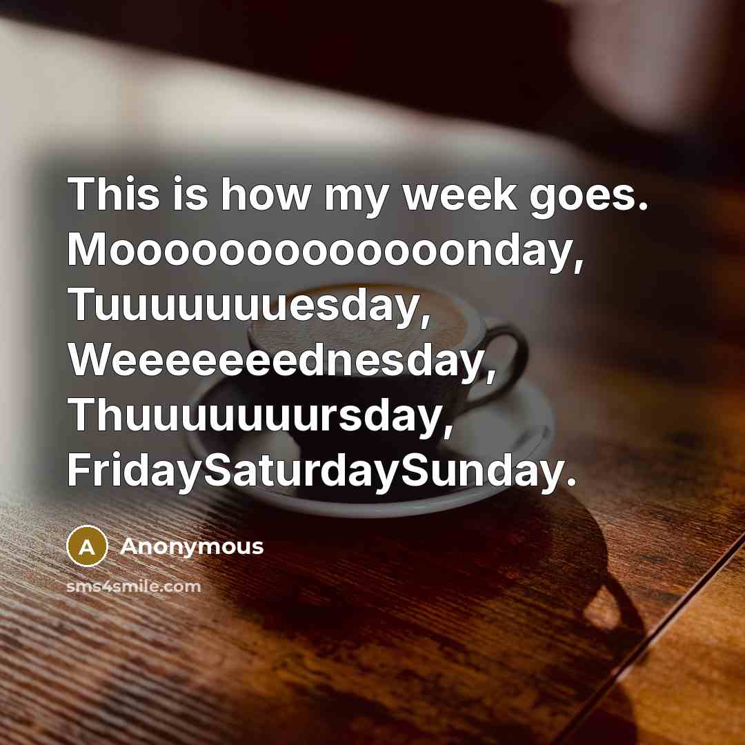 “This is how my week goes. Mooooooooooooonday, Tuuuuuuuesday, Weeeeeeednesday, Thuuuuuuursday, FridaySaturdaySunday.” quote by Anonymous