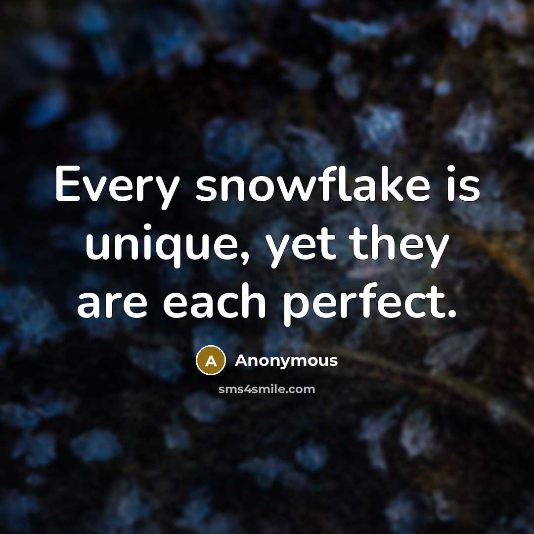 “Every snowflake is unique, yet they are each perfect.” quote by Anonymous