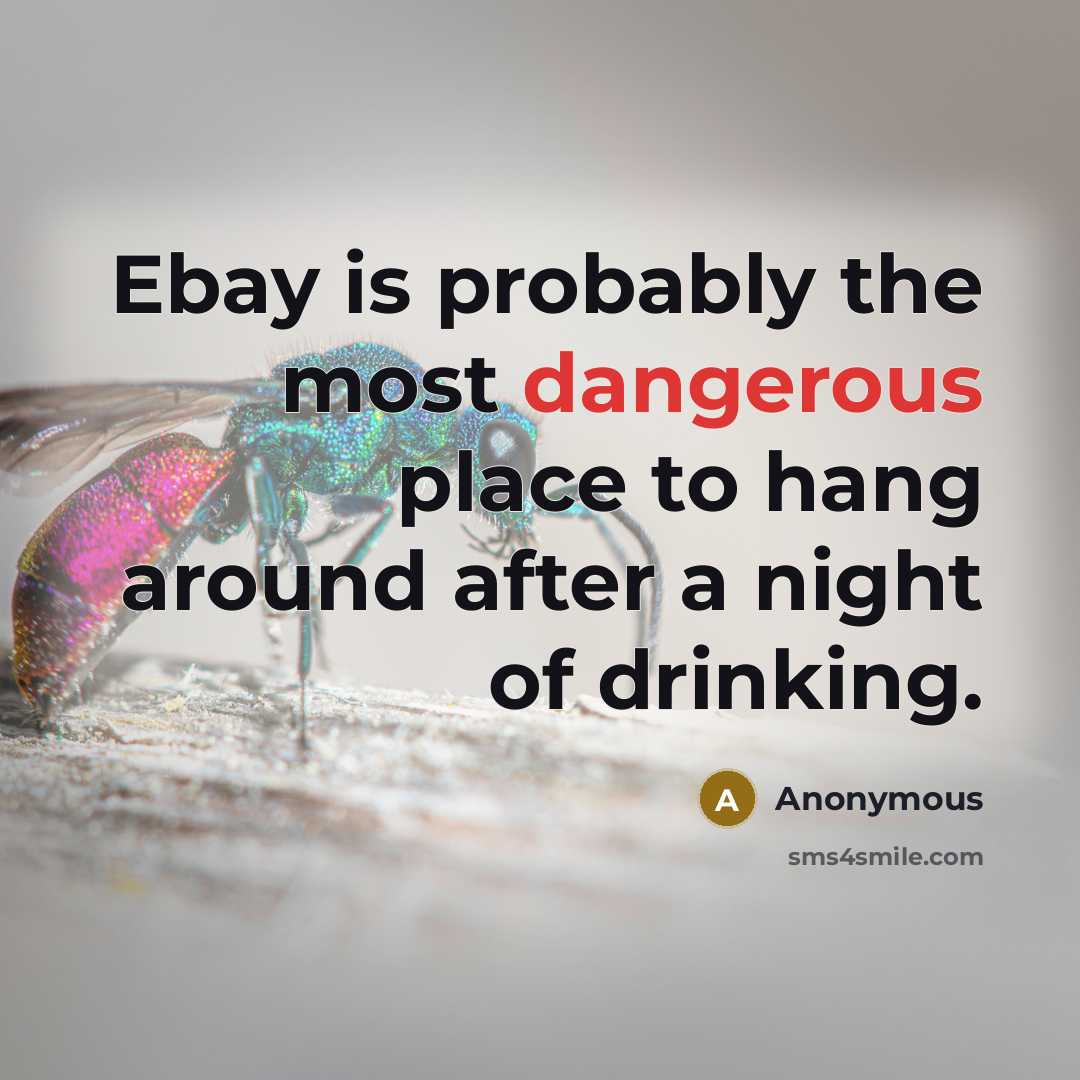 “Ebay is probably the most dangerous place to hang around after a night of drinking.” quote by Anonymous
