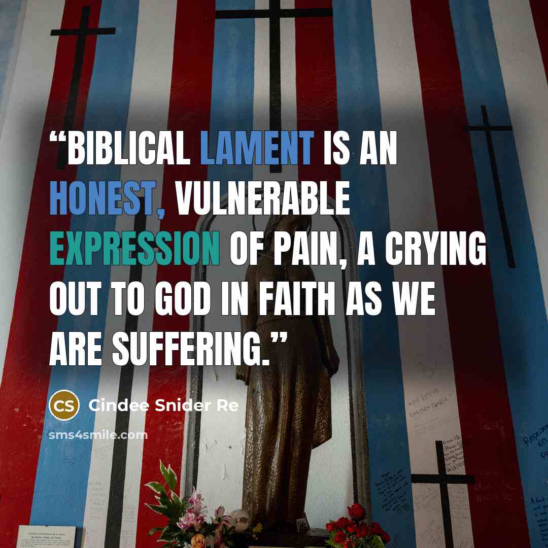 “Biblical lament is an honest, vulnerable expression of pain, a crying out to God in faith as we are suffering.” quote by Cindee Snider Re