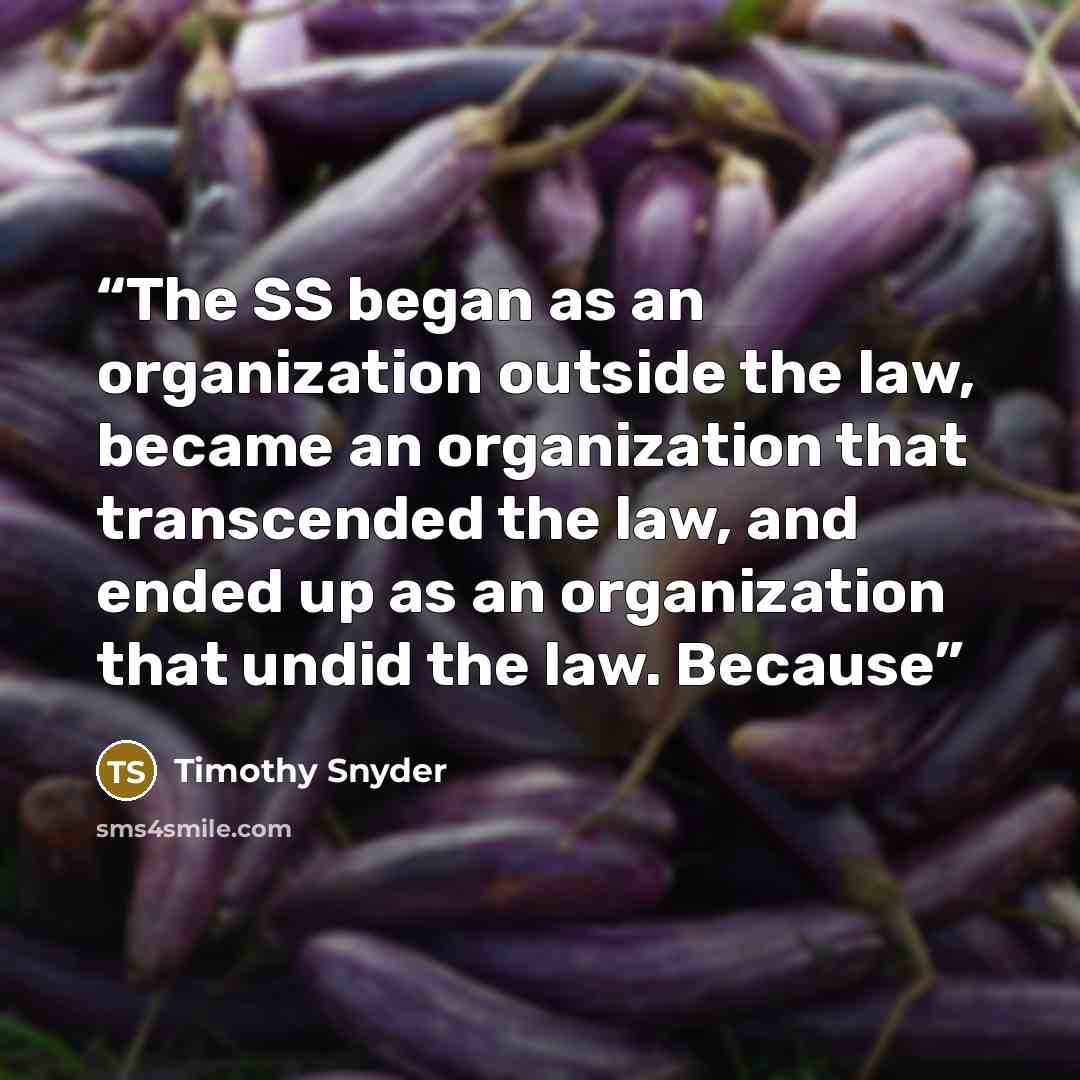 “The SS began as an organization outside the law, became an organization that transcended the law, and ended up as an organization that undid the law. Because” quote by Timothy Snyder